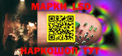 стаф Кимры