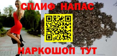 apvp Кингисепп