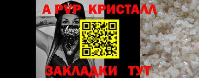 apvp Кингисепп