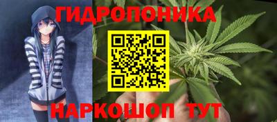 apvp Кингисепп