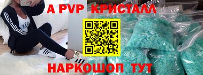 apvp Кингисепп