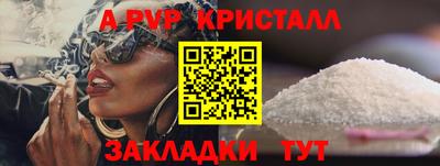 apvp Кингисепп