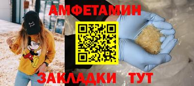apvp Кингисепп