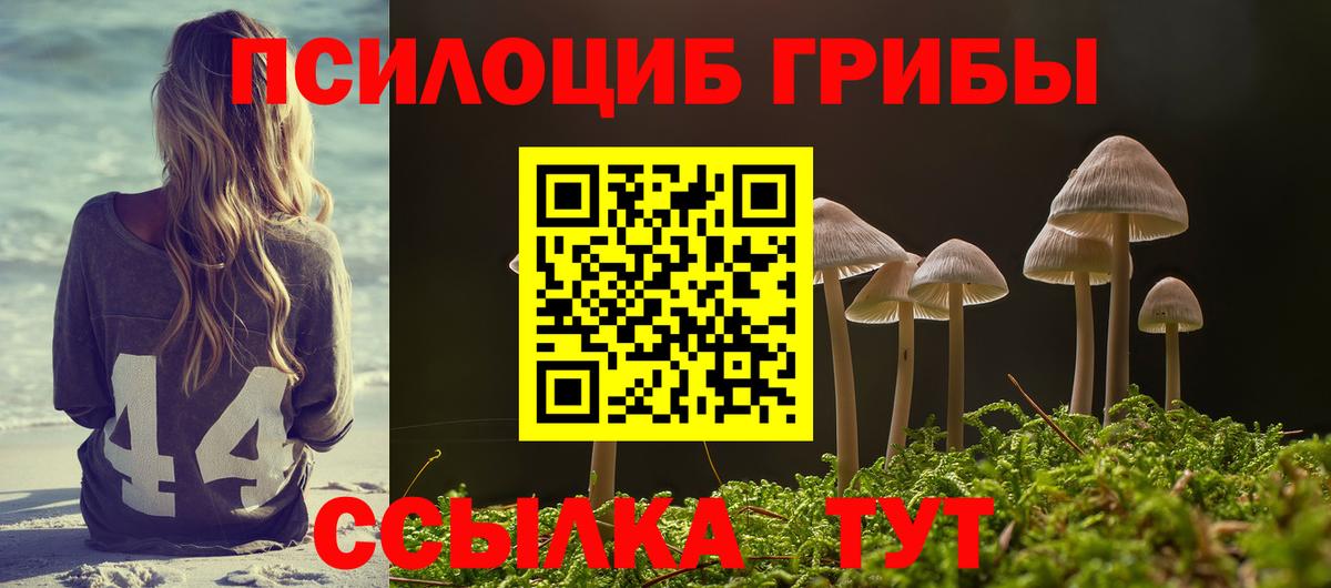 Псилоцибиновые грибы Psilocybine cubensis Хабаровск
